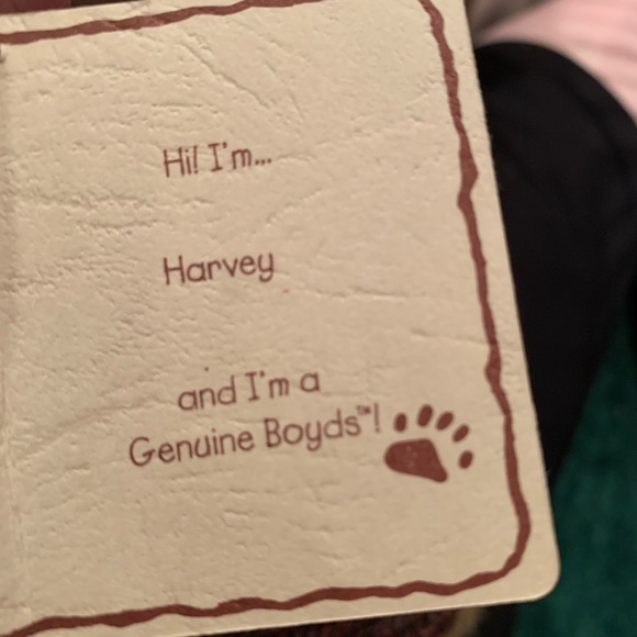 Boyds Bear - “Harvey” Bear of the Month 2006 with Pumpkin Sweater - Picture 2 of 3